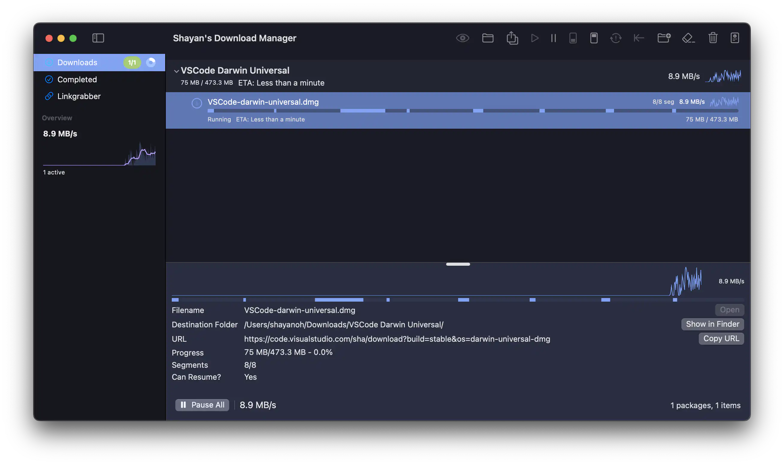 SDM / Shayan's Download Manager — app window